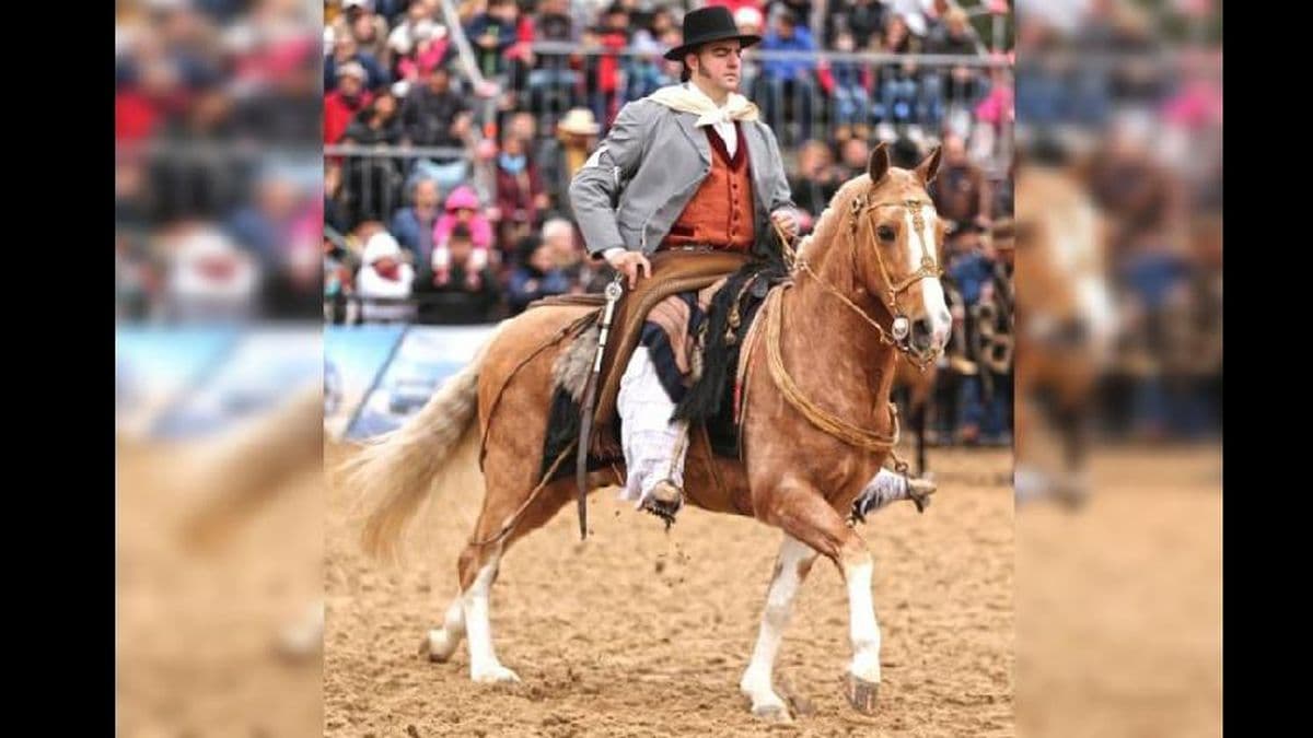 Concurso de aperos en Palermo: premiaron al pergaminense Matías Pedersoli