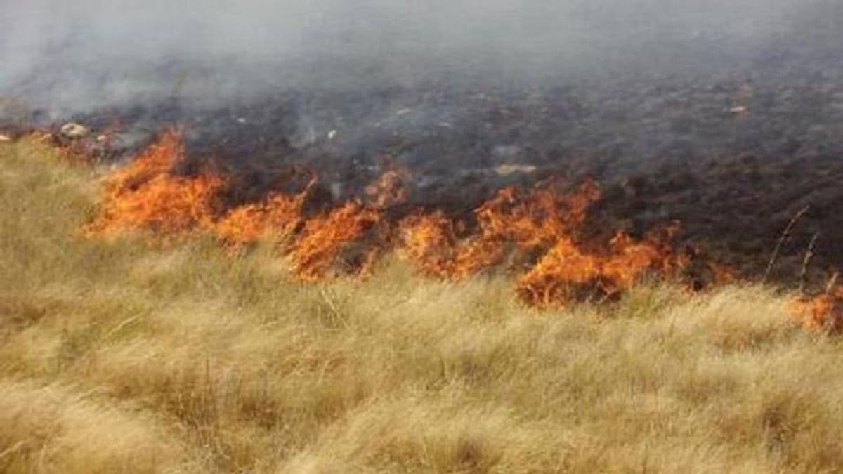 Mucha preocupación por la quema de pastizales e incendios en basurales