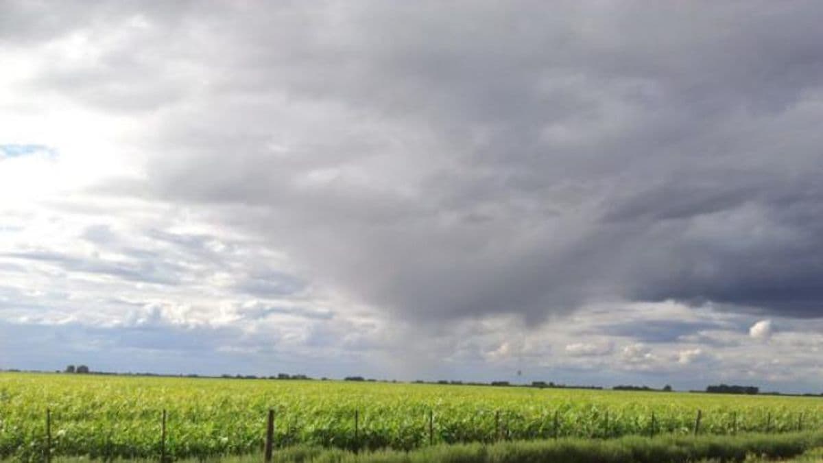 Alerta por tormentas para municipios del norte y el oeste bonaerense