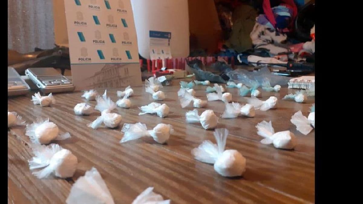 Negocio de pareja: secuestraron gran cantidad de cocaína, marihuana y armas