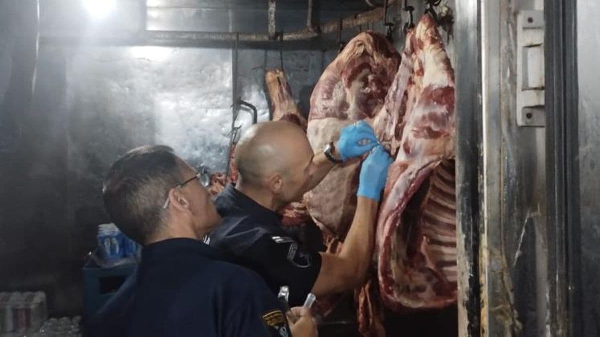 Clausuraron la carnicería de un supermercado por faena clandestina