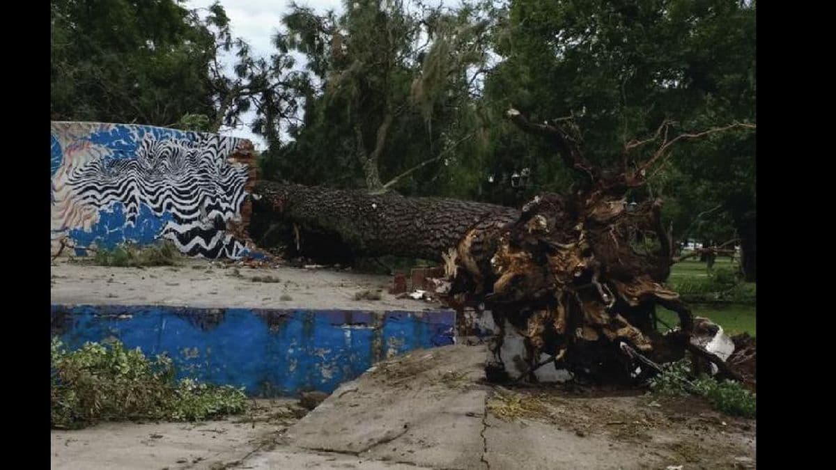 El paso de la tormenta por Colón, en imágenes