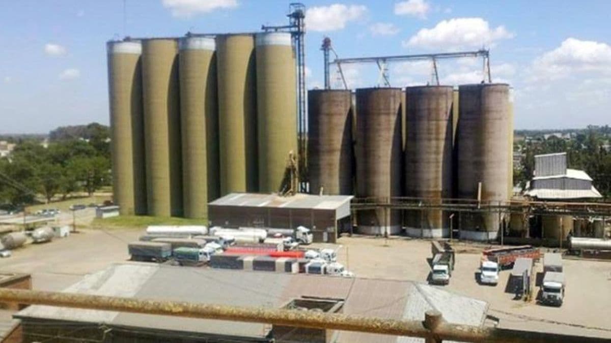 Aplican multa millonaria a molineras por la suba de precios de la harina