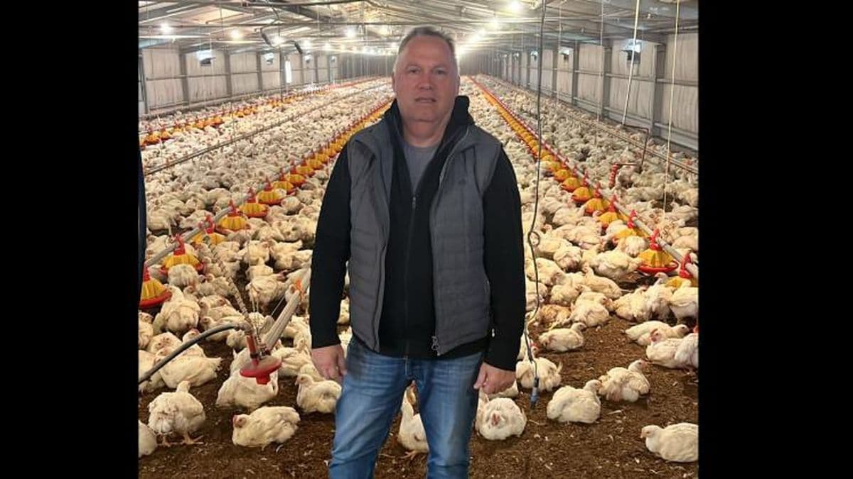 La carne aviar gana espacio con el pollo como bandera