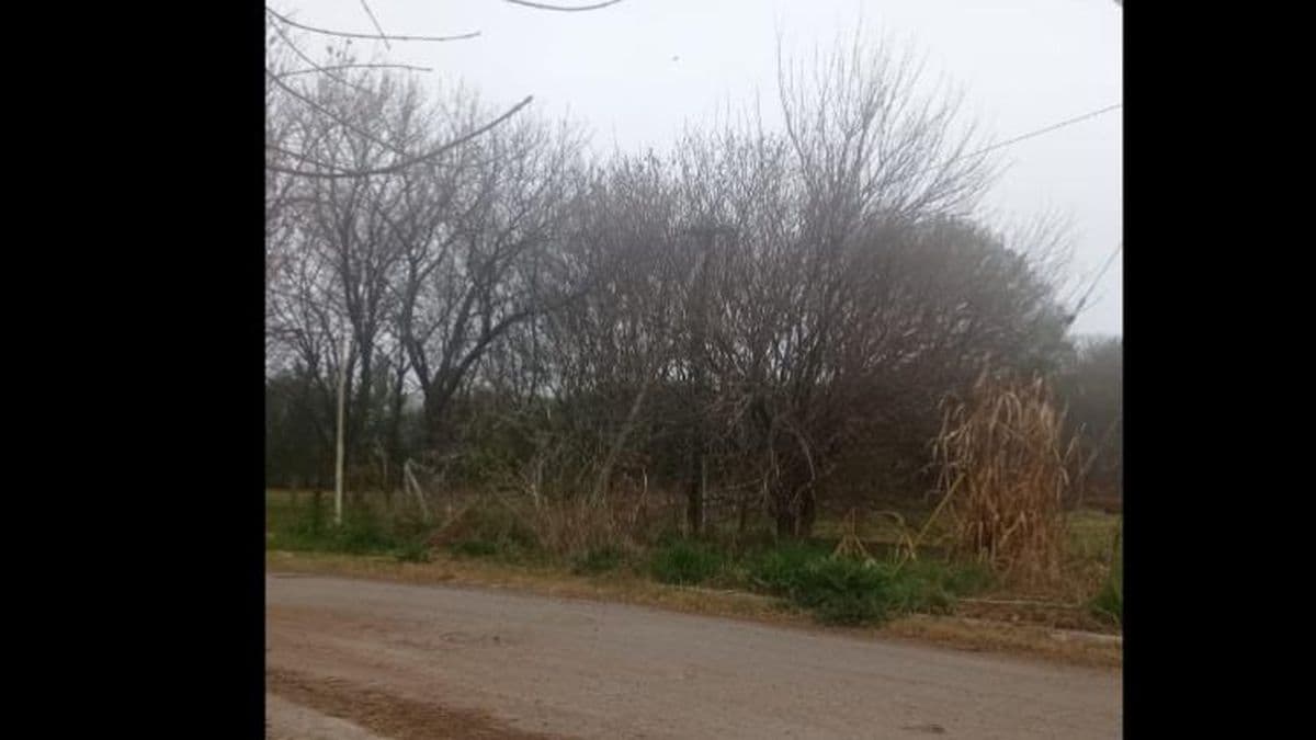 Vecinos del barrio Villa General San Martín reclaman limpieza de terrenos
