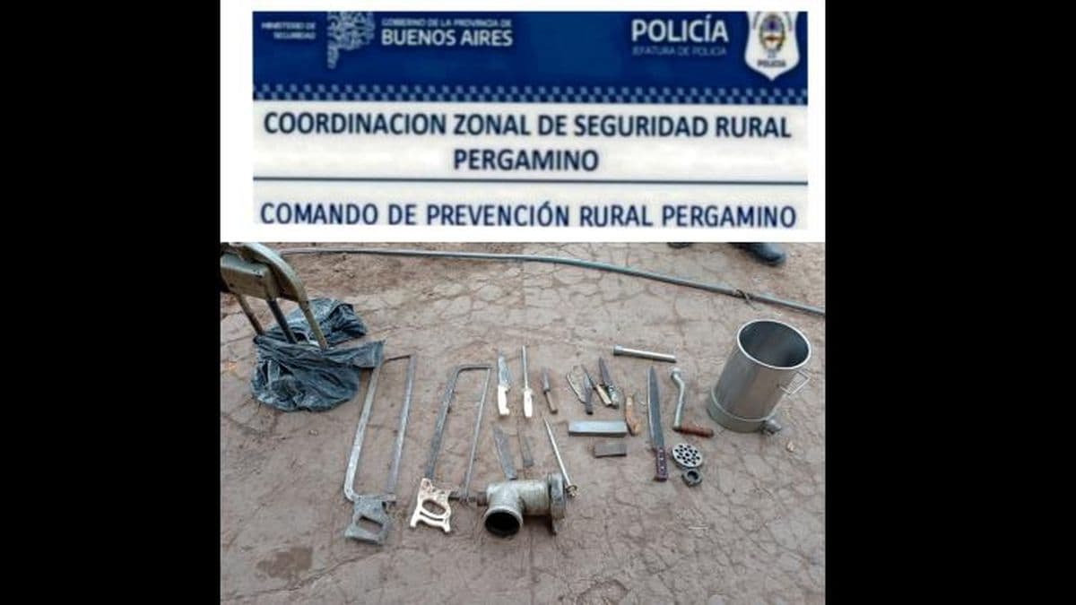Esclarecen un hecho de abigeato en Pinzón