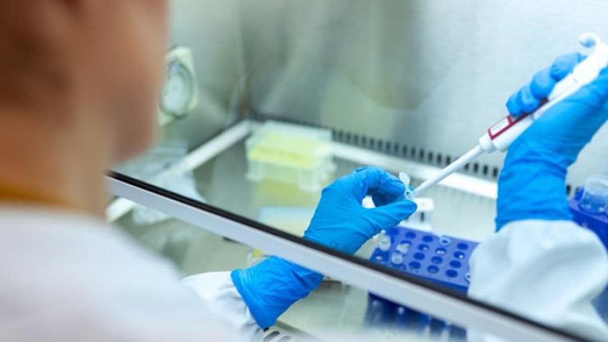 Coronavirus: tres fallecidos y 63 nuevos casos en la ciudad