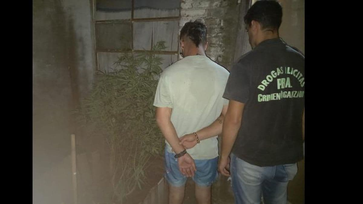 Realizaron allanamientos por drogas en Pergamino y Colón