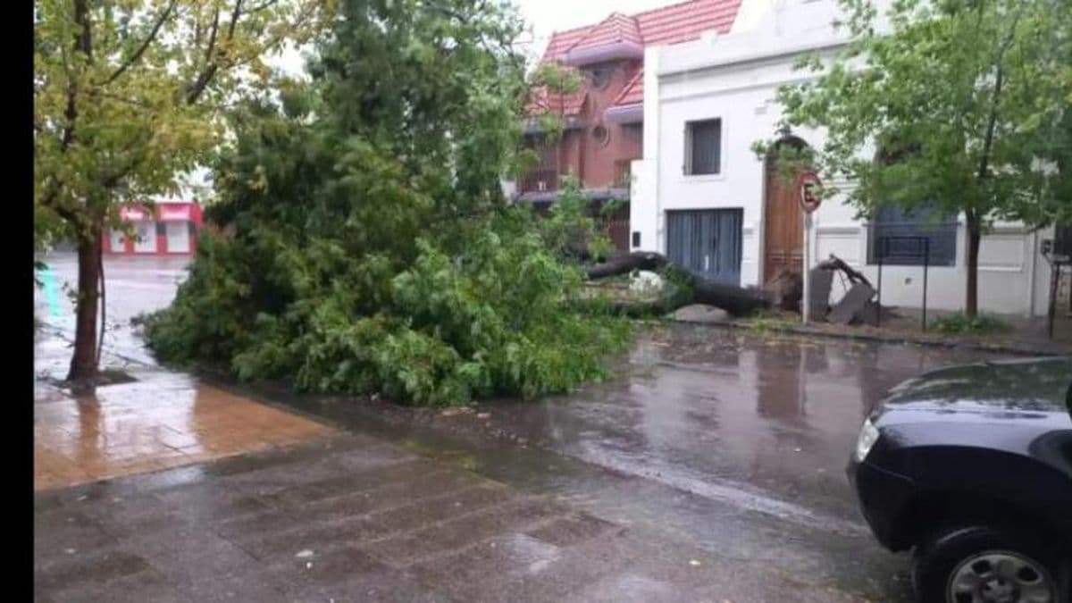 El temporal castigó fuerte a varios distritos del interior bonaerense