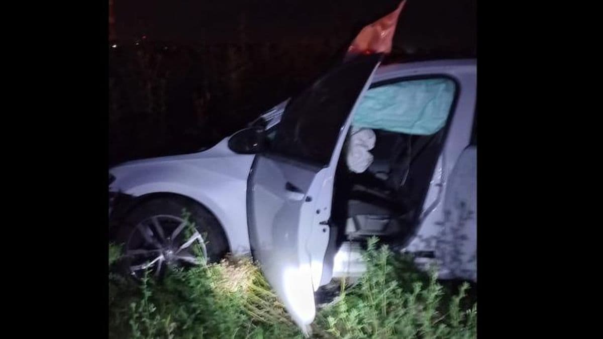 Los caballos sueltos volvieron a provocar un siniestro vial en la autopista