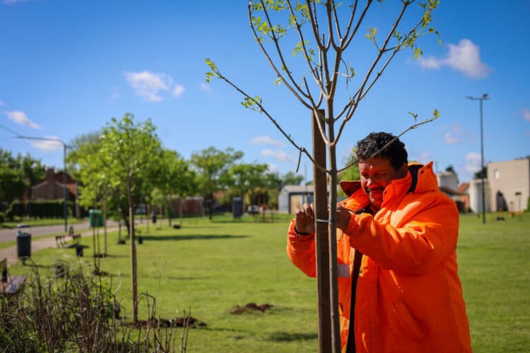 Barrios más lindos: avanza la reforestación de plazas