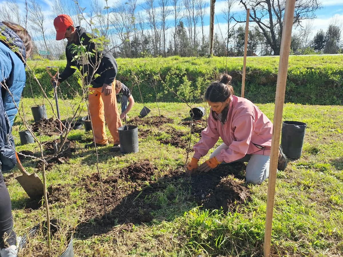 Día del Árbol: plantación colaborativa en Barrio Aeroclub