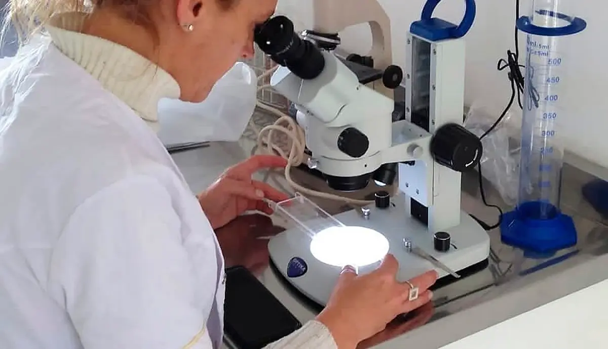 Bromatología refuerza los controles para prevenir la Triquinosis