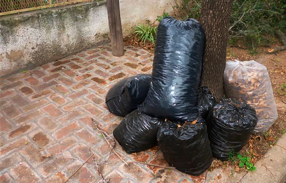 Cronograma de recolección de residuos voluminosos de agosto