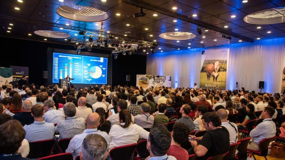 Carnes argentinas: una cadena con crecimiento mundial pero con dificultades a superar