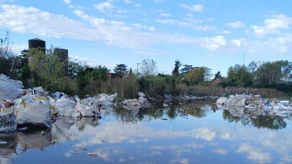 Cartoneros de Baradero denuncian destrato del Municipio y falta de reparación de maquinarias