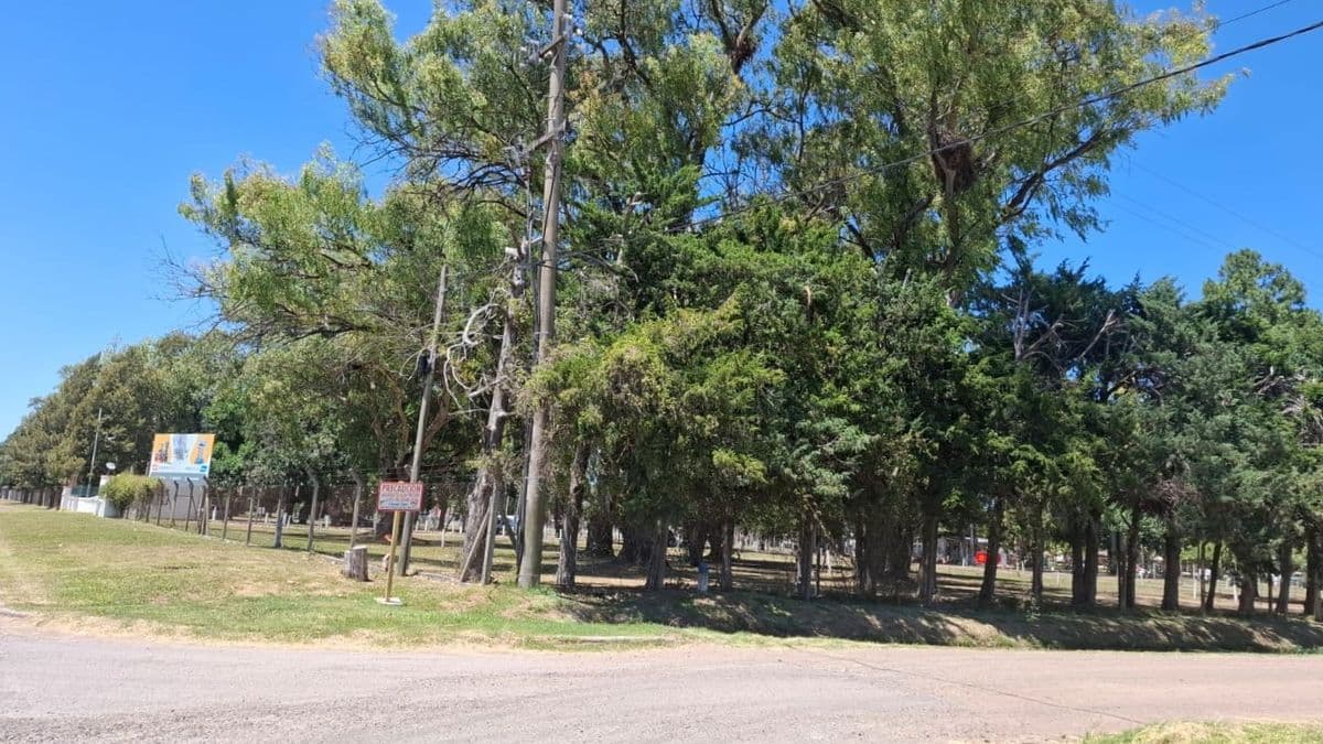 Club Belgrano de San Nicolás proyecta un gimnasio cubierto de gran escala en su camping