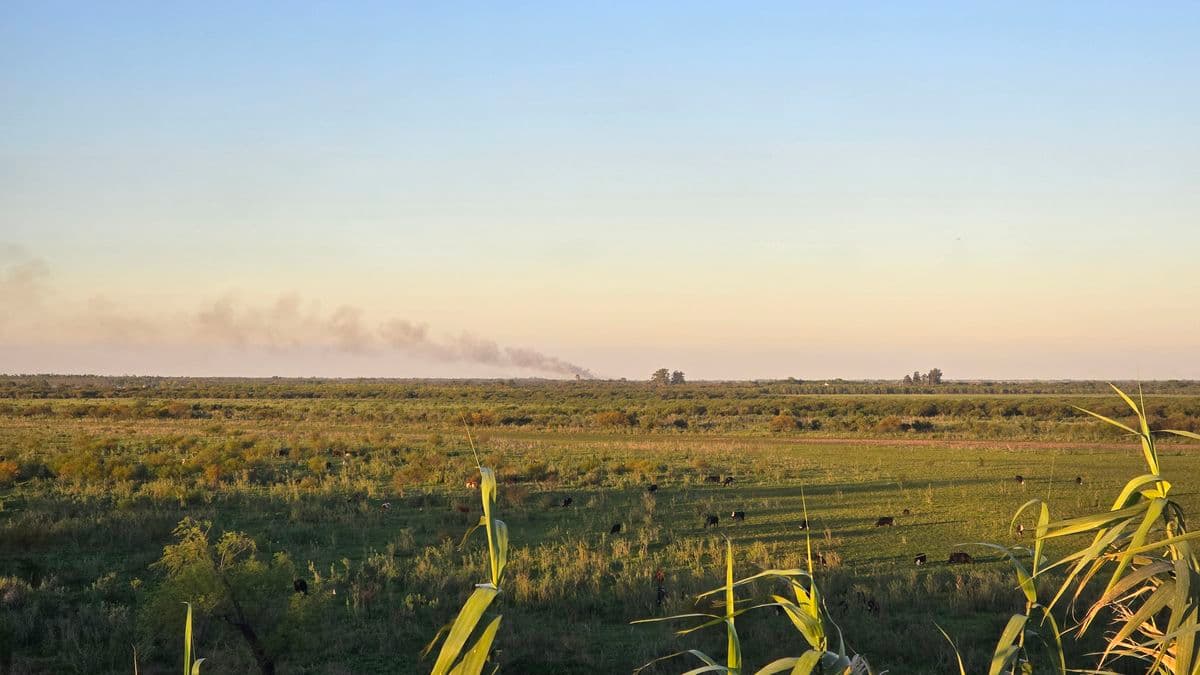 San Nicolás: En 2025 crecieron 70% los focos de incendios en el Delta del Paraná