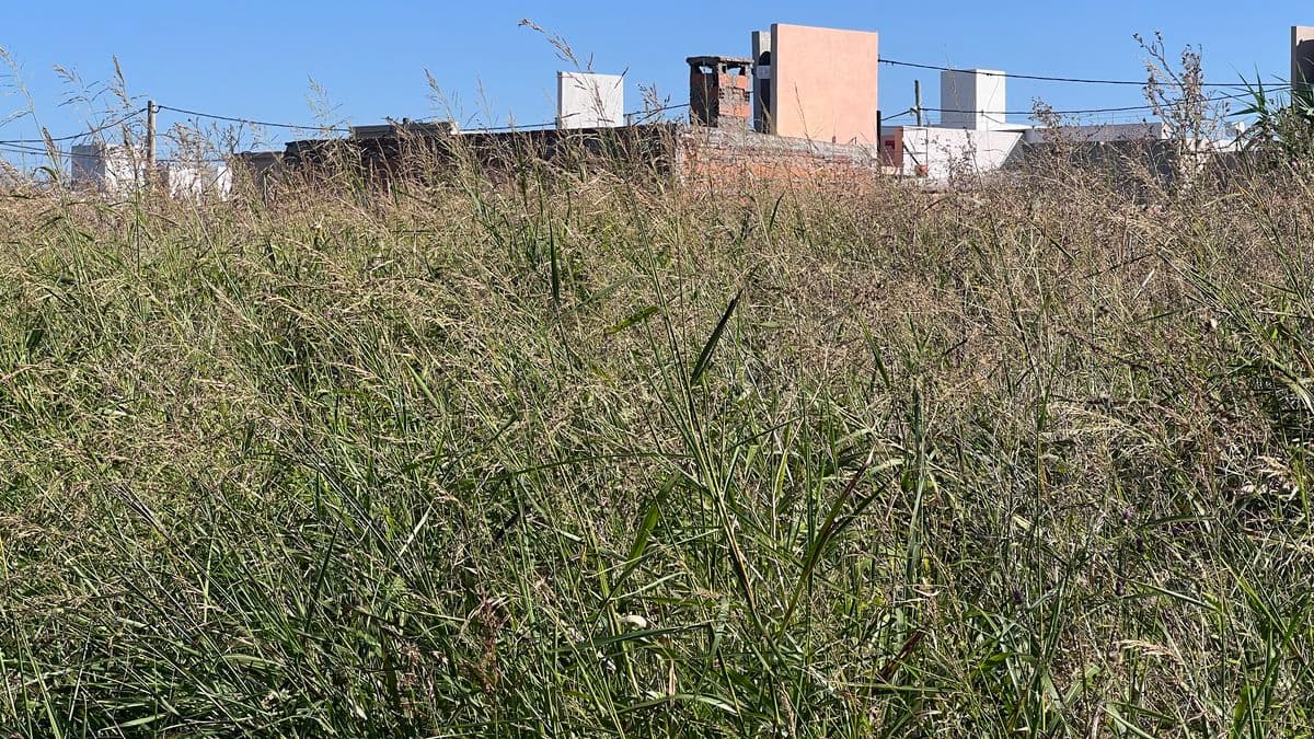 San Nicolás: Tierras del Sol, 200 familias reclaman al Banco Hipotecario y dueños por el desmalezamiento