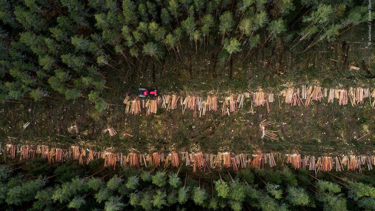 Argentina celebra un respiro regulatorio de Europa: Postergación y alivio exportador