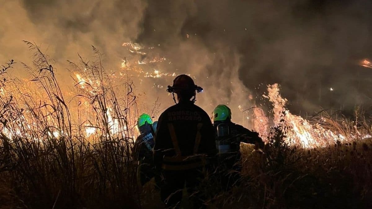 Bomberos de Baradero intervinieron en 60 servicios durante enero y alertan por el aumento de incendios