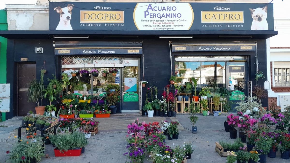 La dueña de un comercio céntrico pide responsabilidad tras destrozos durante los festejos de la Primavera
