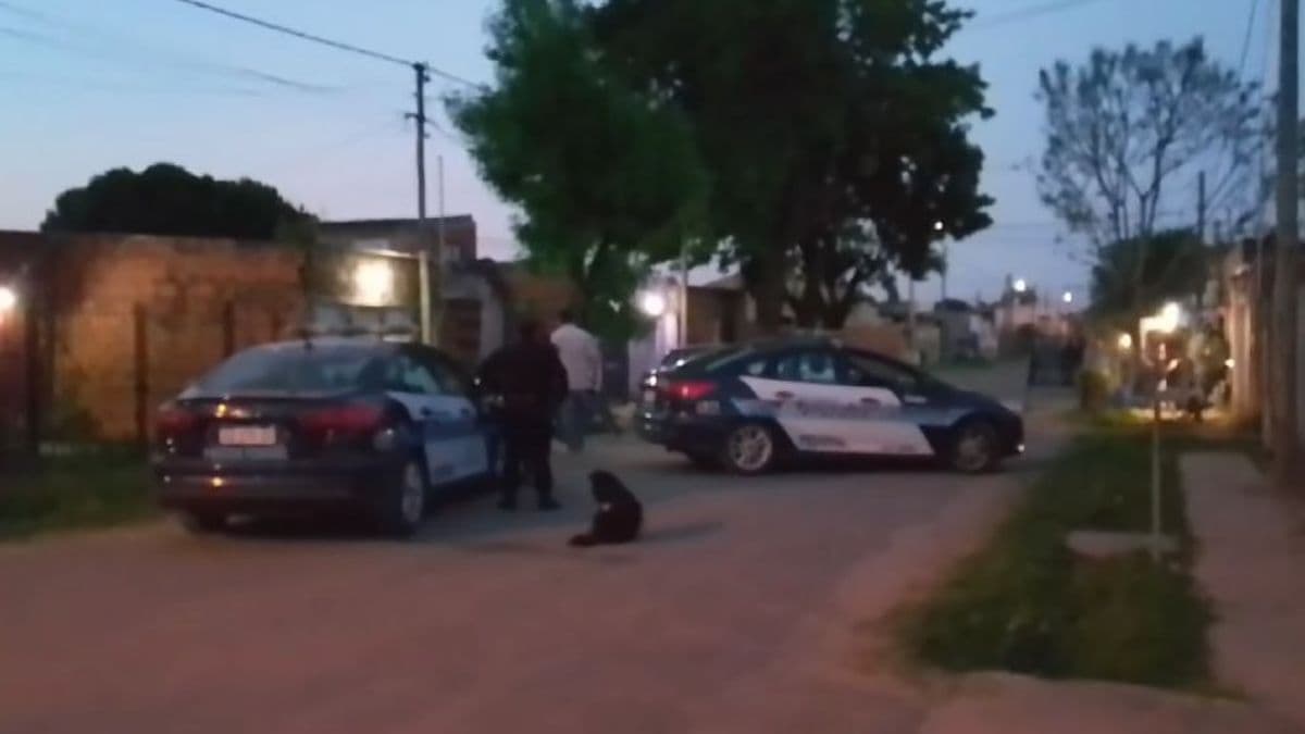 Allanamiento en Baradero: secuestran droga y detienen a tres personas