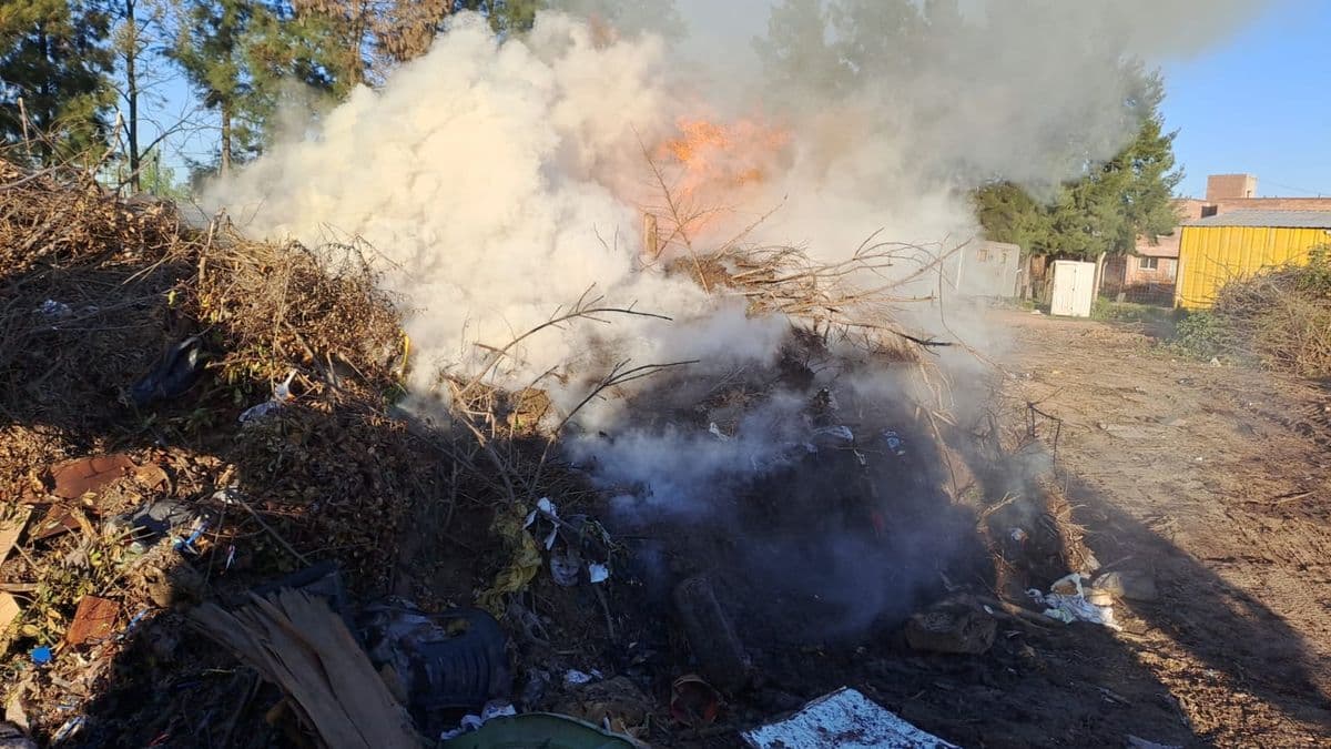 Baradero: otro incendio intencional destruye el depósito de ramas municipales