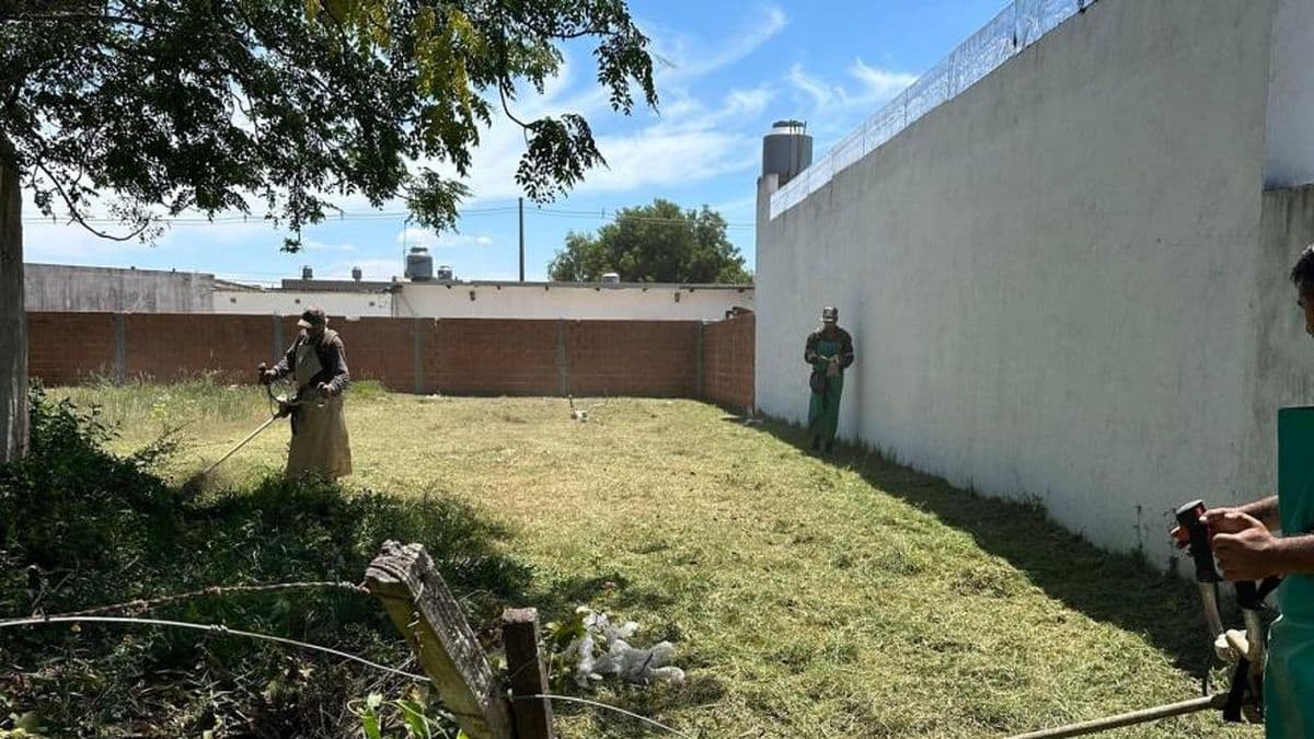 El Municipio de Ramallo intensifica controles y limpieza en lotes en estado de abandono