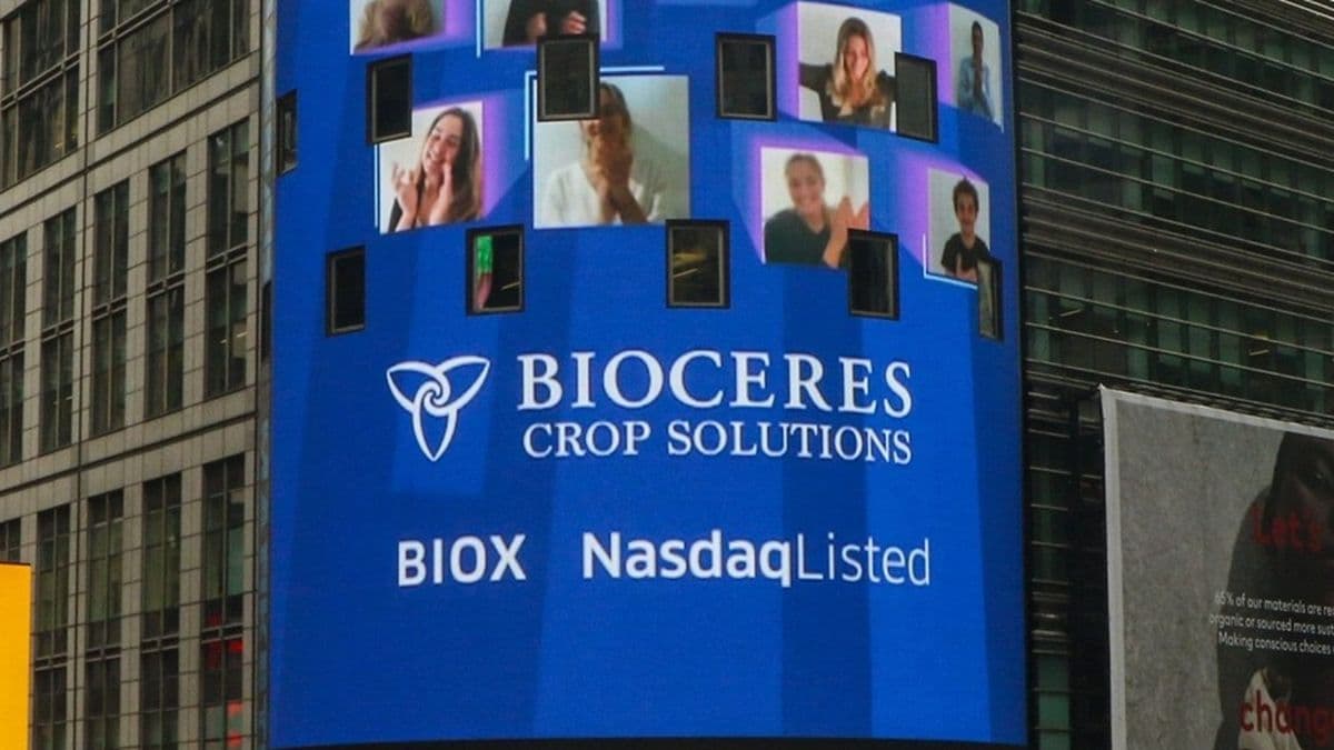 Bioceres entró en default pero Rizobacter sigue operativa: claves para entender la reestructuración del grupo