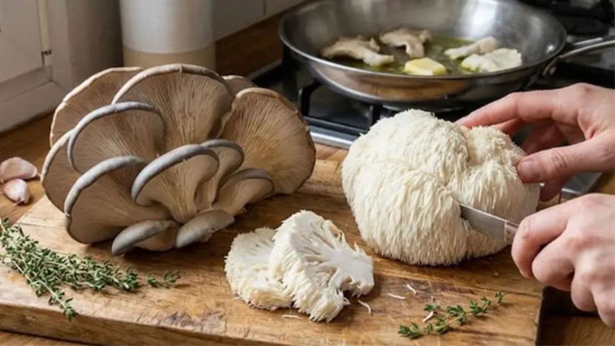 De unas vacaciones en San Luis a crear Buena Honga: el emprendimiento familiar que nació cultivando hongos