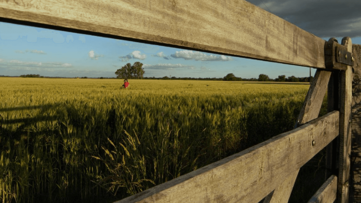 El peso de las tasas: CARBAP advierte sobre el impacto desigual y creciente sobre los productores rurales
