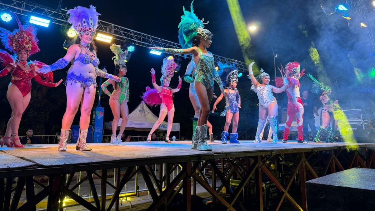 Ramallo celebró dos noches de Carnavales 2026 con una multitud sobre la Avenida Mitre