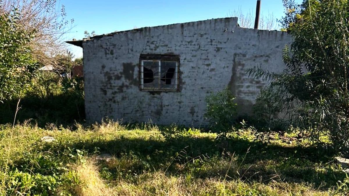 Usurpación en Gobernador Castro: tomaron la casa de dos hermanos con discapacidad
