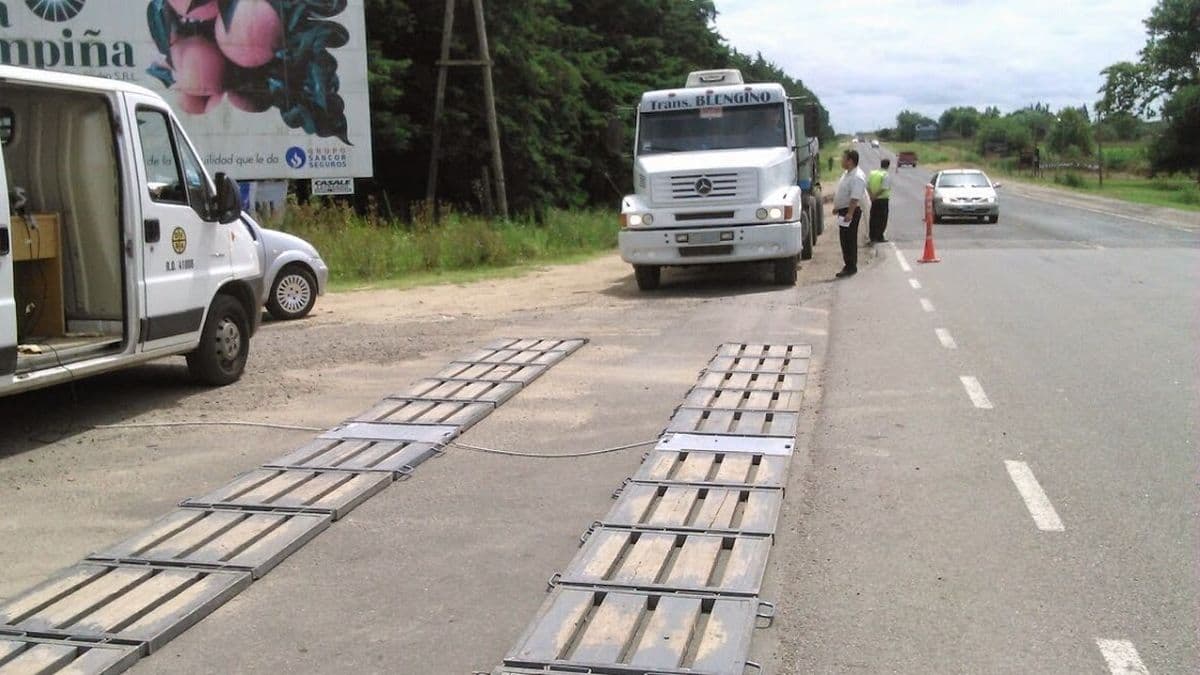 San Pedro: Concejales radicales exigen controles de peso a camiones para proteger la Ruta 1001