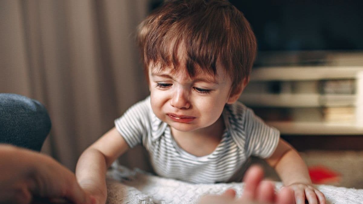 El hijo del miedo: la historia del niño que creció entre la violencia y de grande enfrentó al mismo agresor