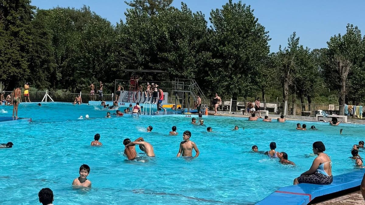 Casi 900 niños de Pergamino disfrutan del programa Escuelas Abiertas en Verano