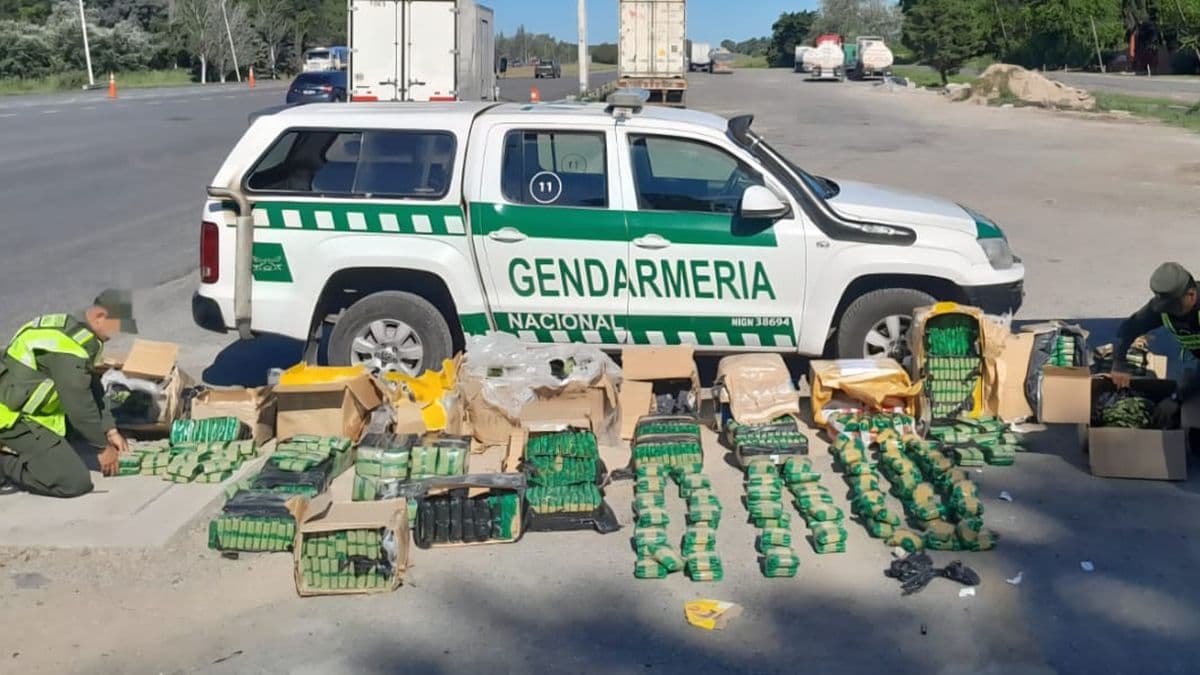 Zárate: Gendarmería incautó más de 230 kilos de hoja de coca en un operativo sobre la Ruta 9