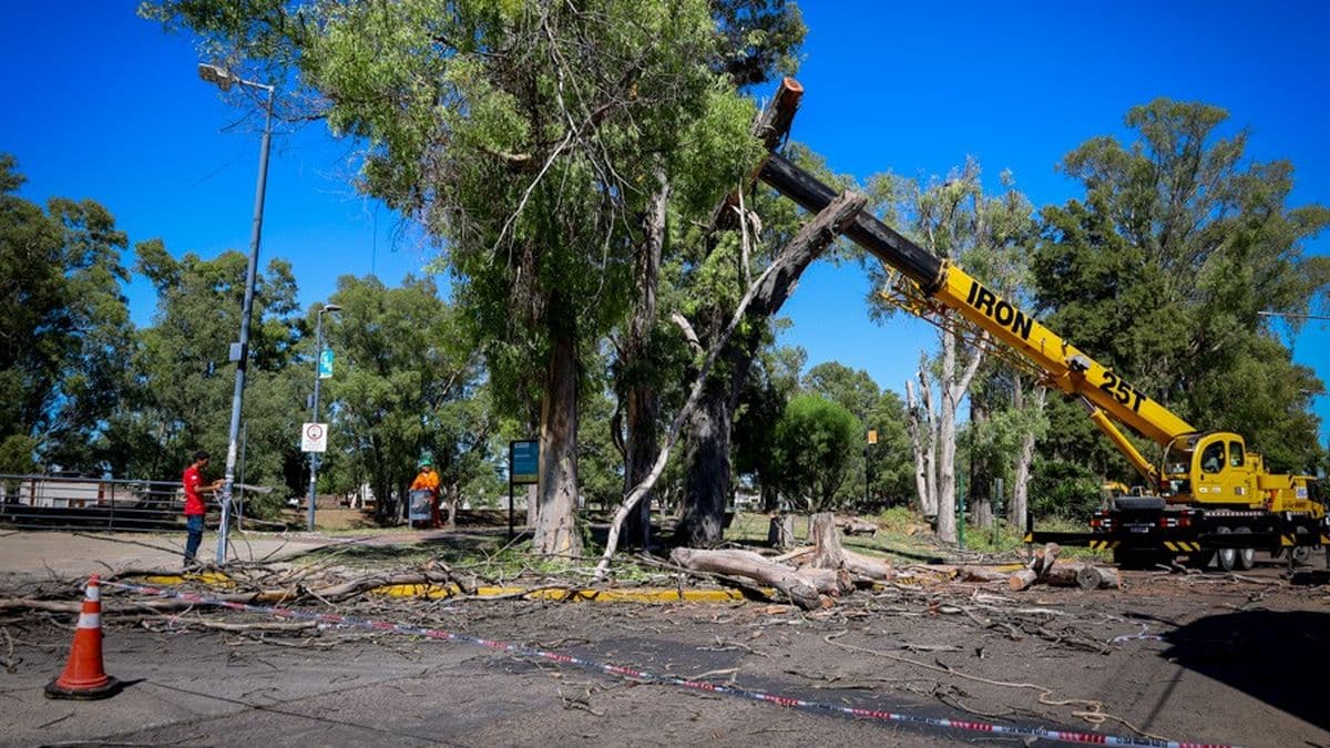 Paseo Ribereño: retiraron las ramas secas y mejoran iluminación en los sectores claves