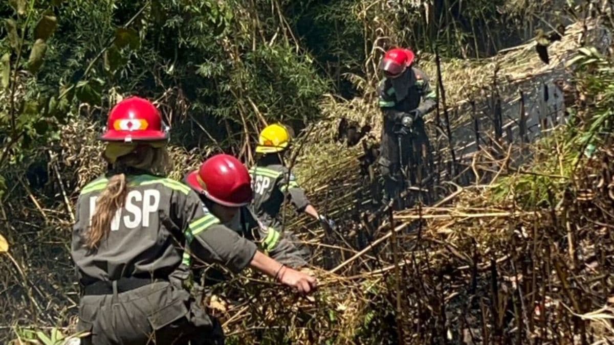 San Pedro bajo alerta máxima: Riesgo extremo de incendios forestales y pastizales