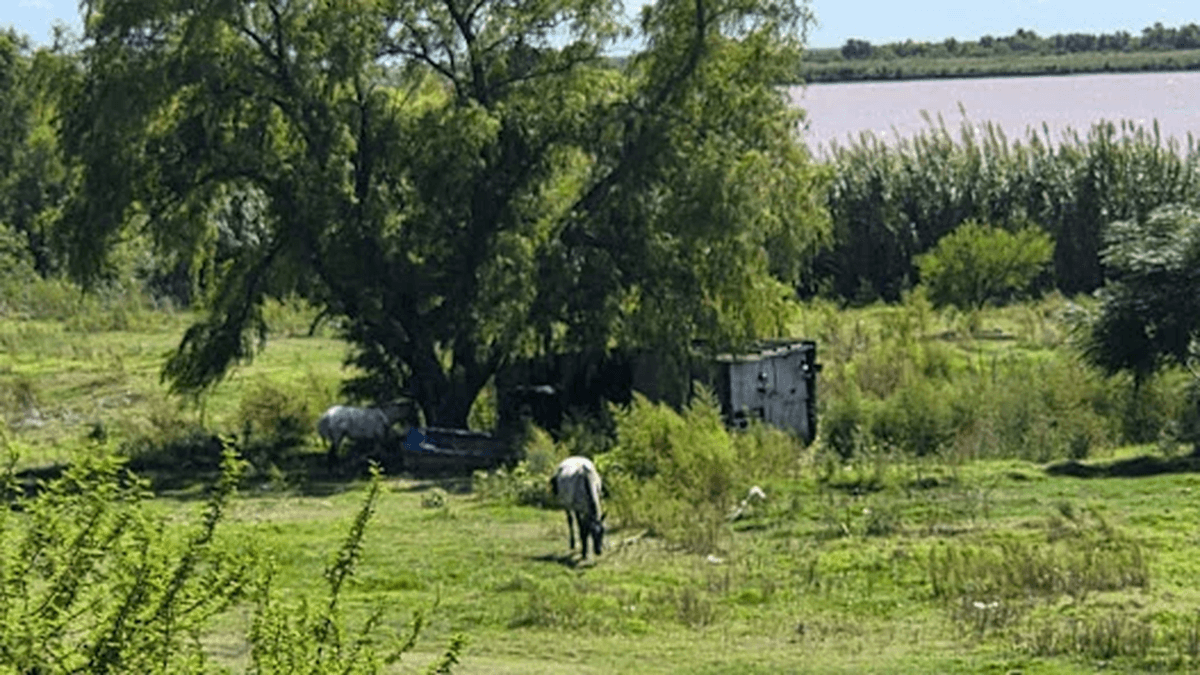 Ramallo: Vecinos de La Isoca denunciaron abandono, detonaciones y creciente inseguridad