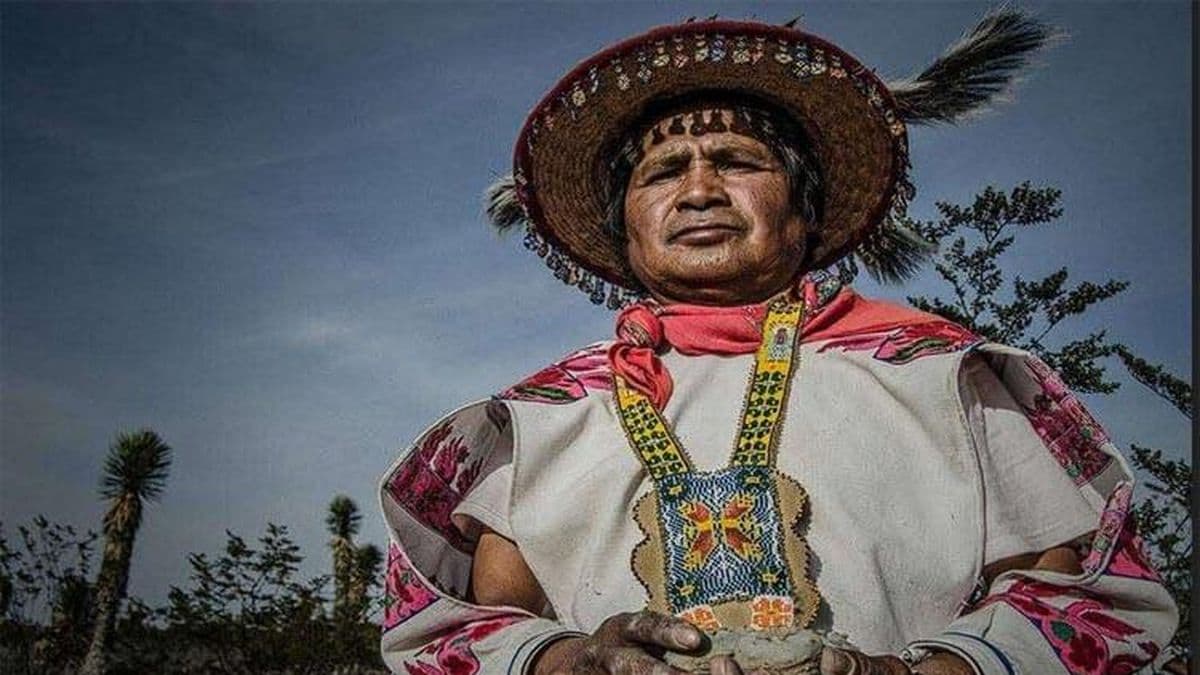 La herencia invisible: cómo la historia de nuestros ancestros moldea nuestra relación con el dinero