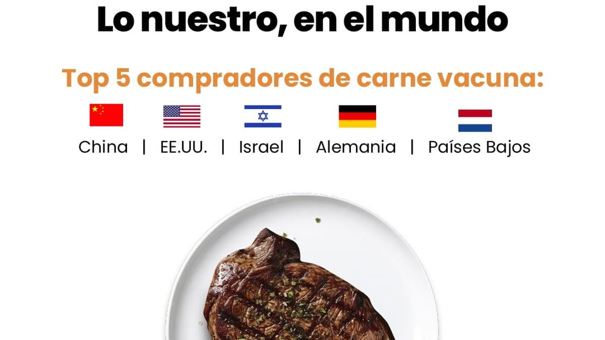 El campo mueve la economía: 6 de cada 10 dólares vienen de la agroindustria