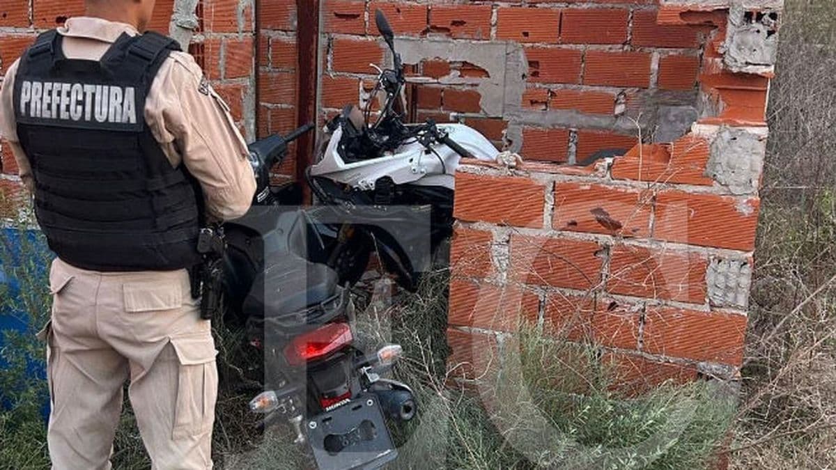 Prefectura halló dos motos robadas en Zárate: estaban ocultas entre ramas y con pedidos de secuestro activo