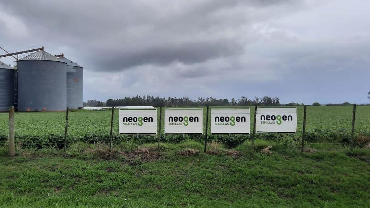 Neogen revoluciona la soja con cinco nuevas variedades para una campaña sin límites
