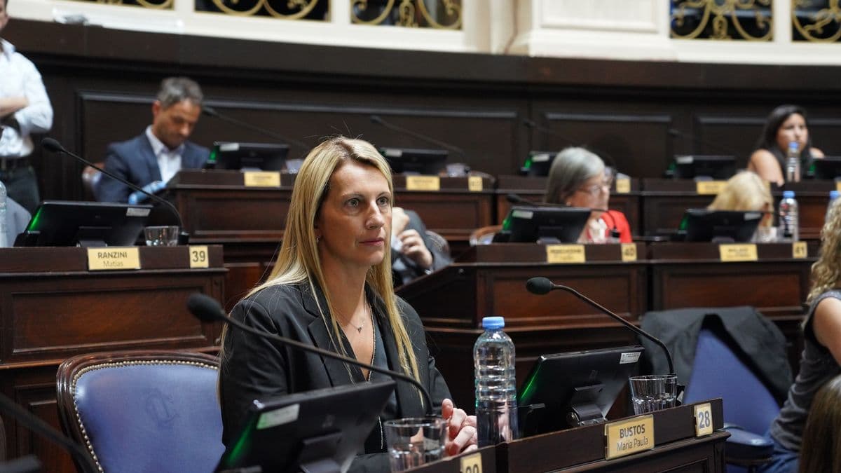 Paula Bustos presentó un proyecto para adaptar la VTV bonaerense a las nuevas reglas nacionales