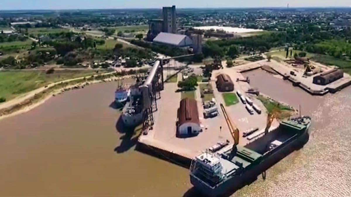Puerto de San Pedro exportará 30.000 toneladas de colza a los Países Bajos