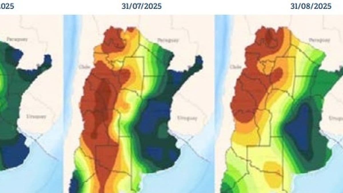 El clima vuelve a poner en jaque a la ganadería y obliga a repensar estrategias