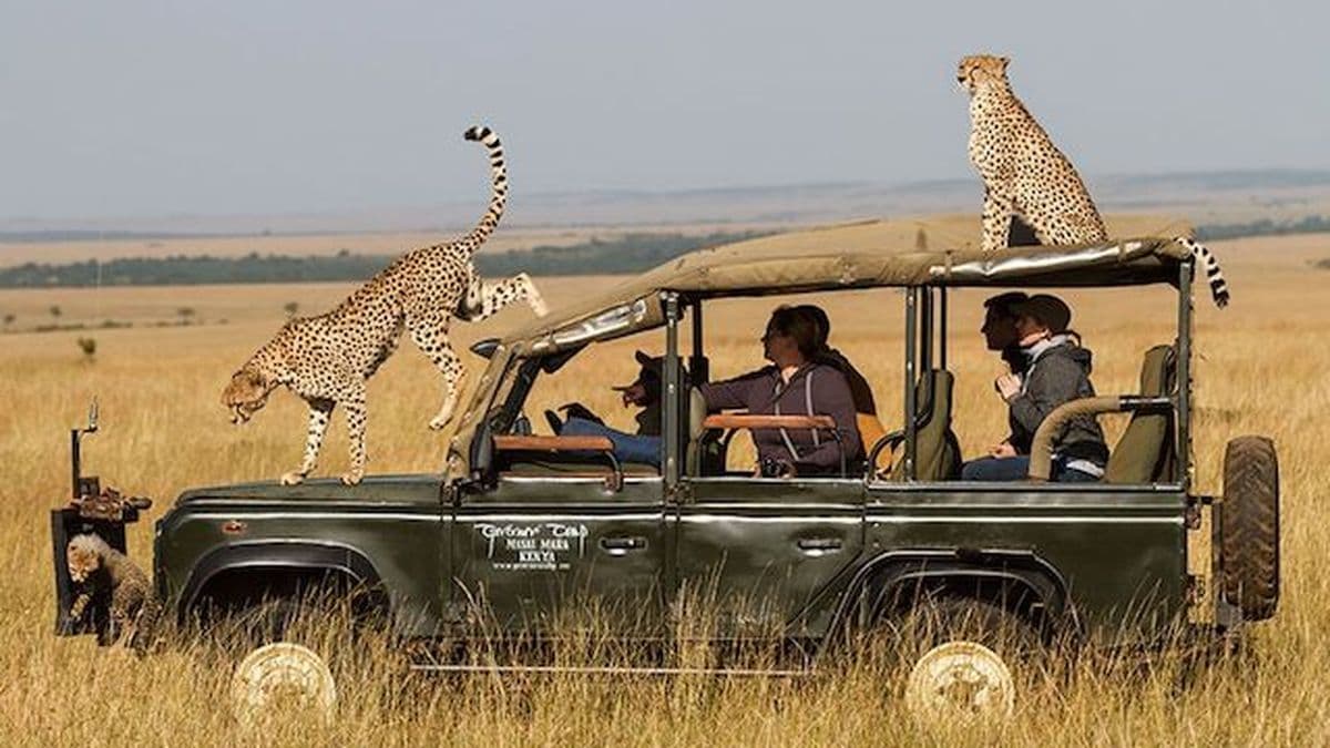 La ambiciosa propuesta de Cubata Viajes para conectar Pergamino con Sudáfrica: safari, cultura y relax