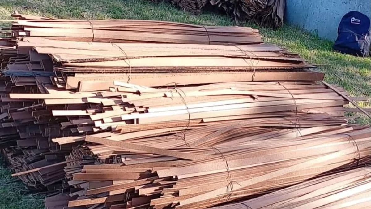 Ramallo reparte chapadur para calefaccionar y crece la polémica por los riesgos para la salud